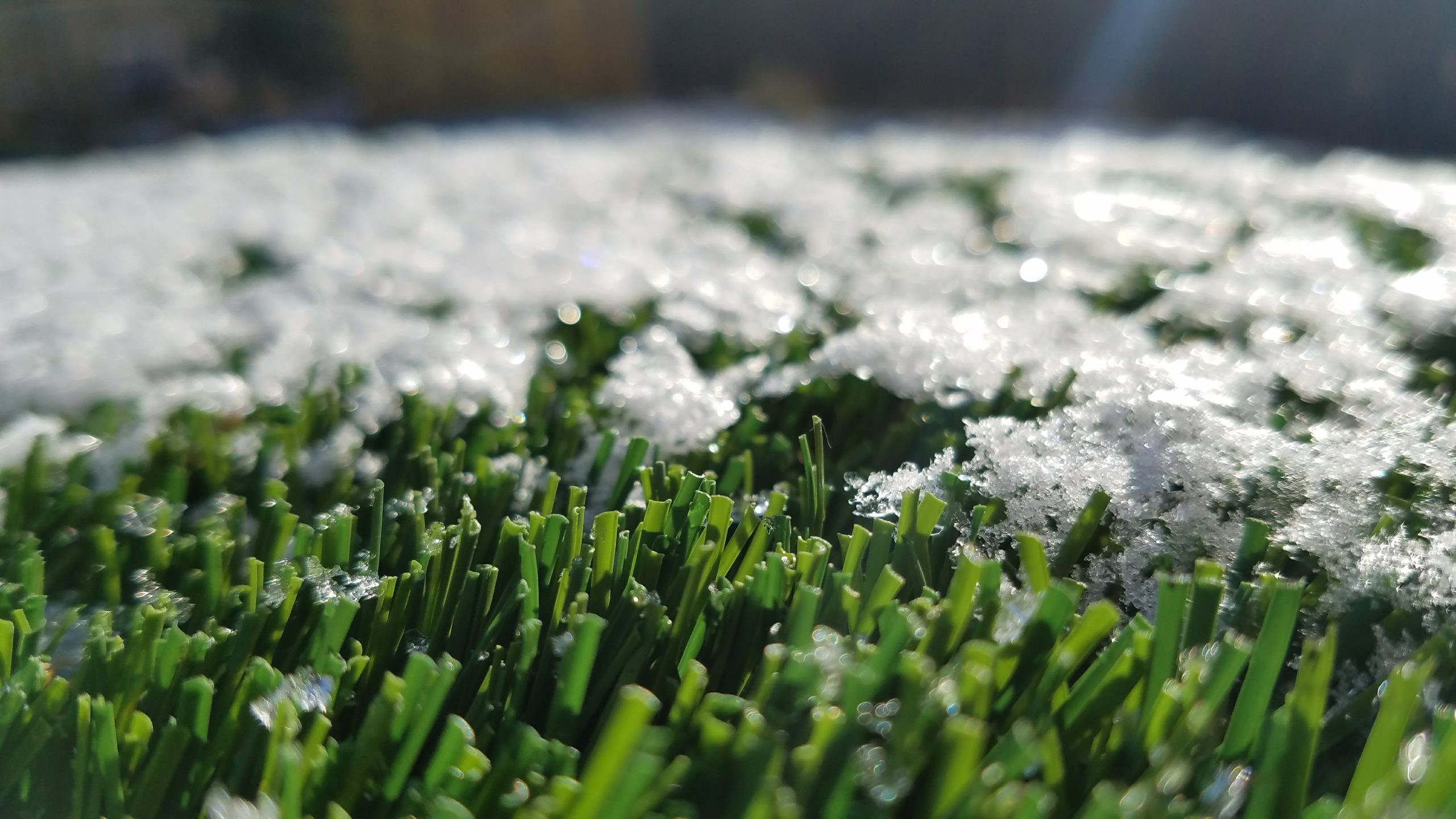 Kunstrasen im Winter: Pflegeleicht und robust