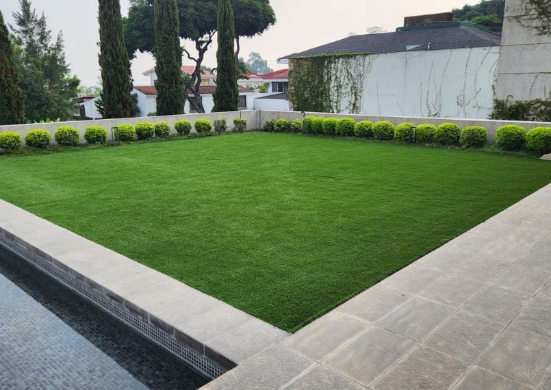 Lawn & Landscape Turf