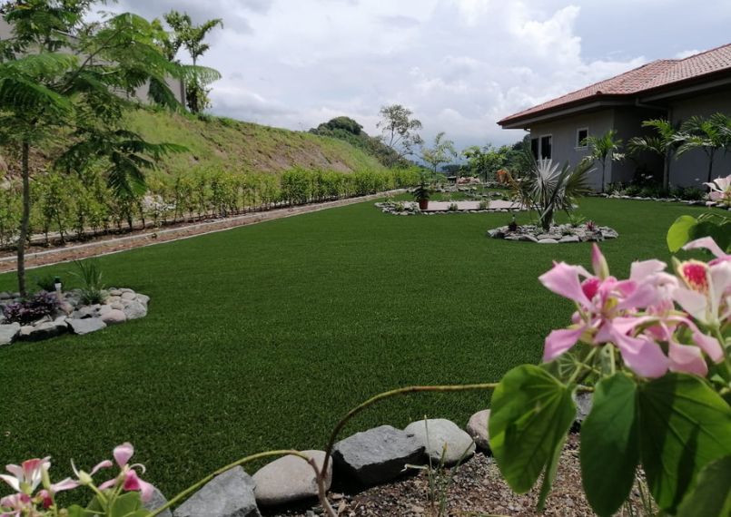 Lawn & Landscape Turf