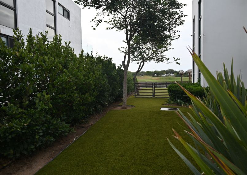 Lawn & Landscape Turf