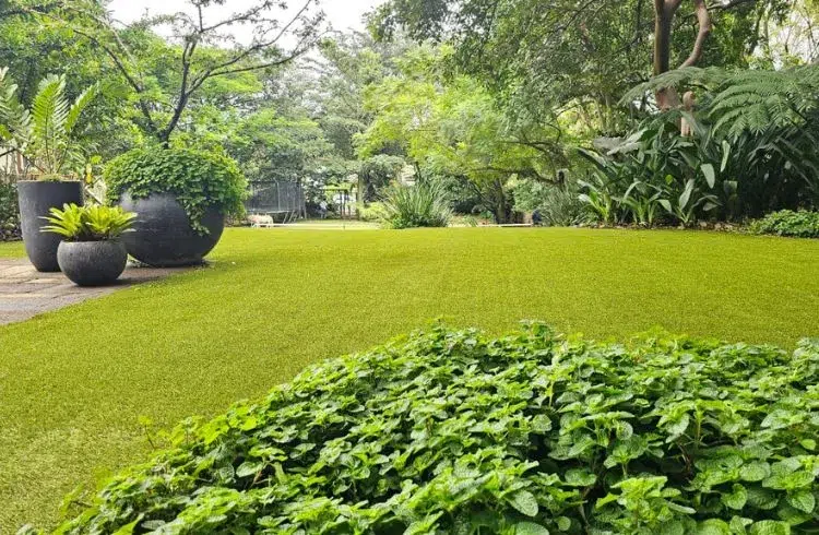 SYNLawn Projects