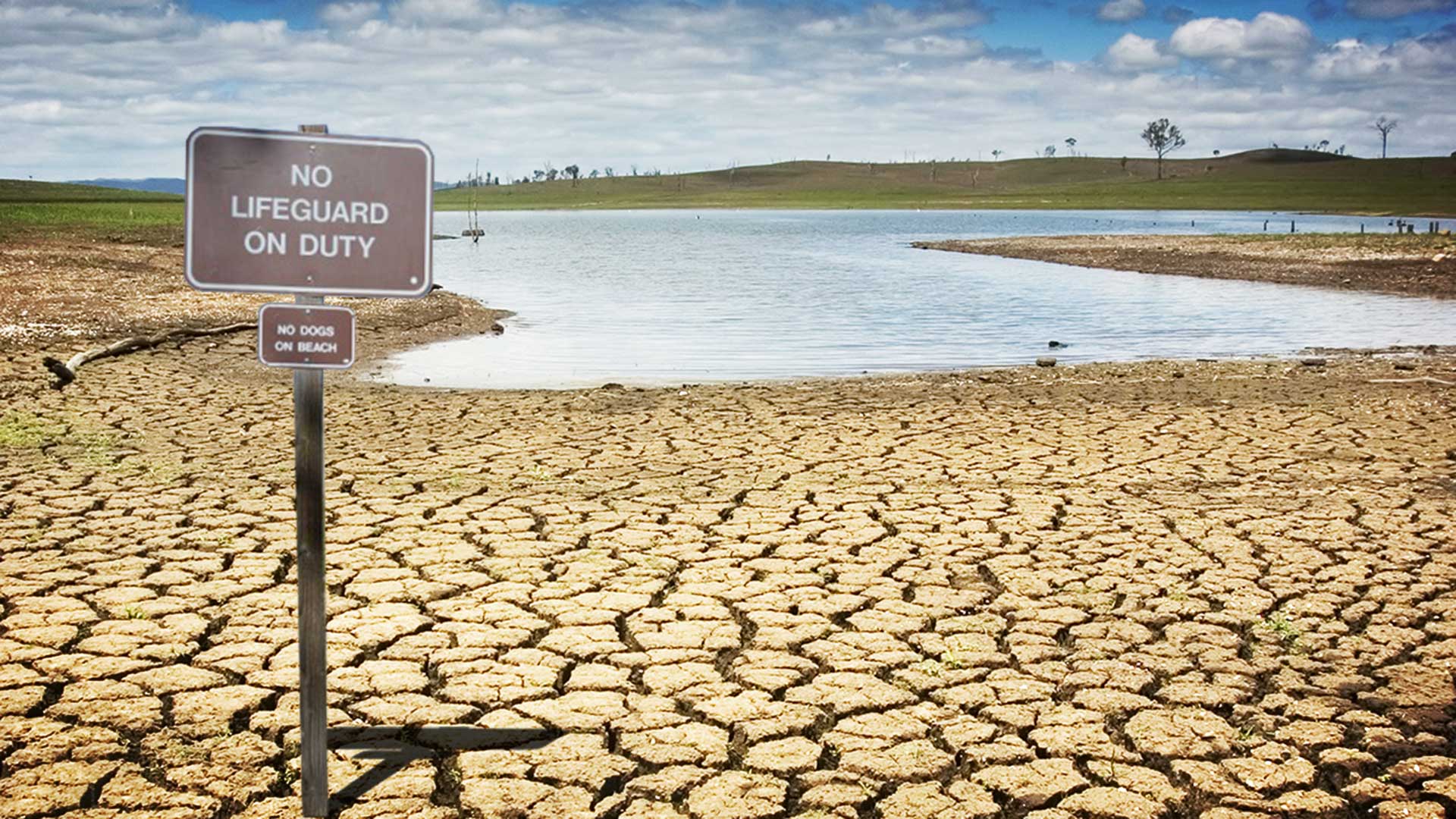 2022 California Water Restriction and Artificial Grass Rebate Information