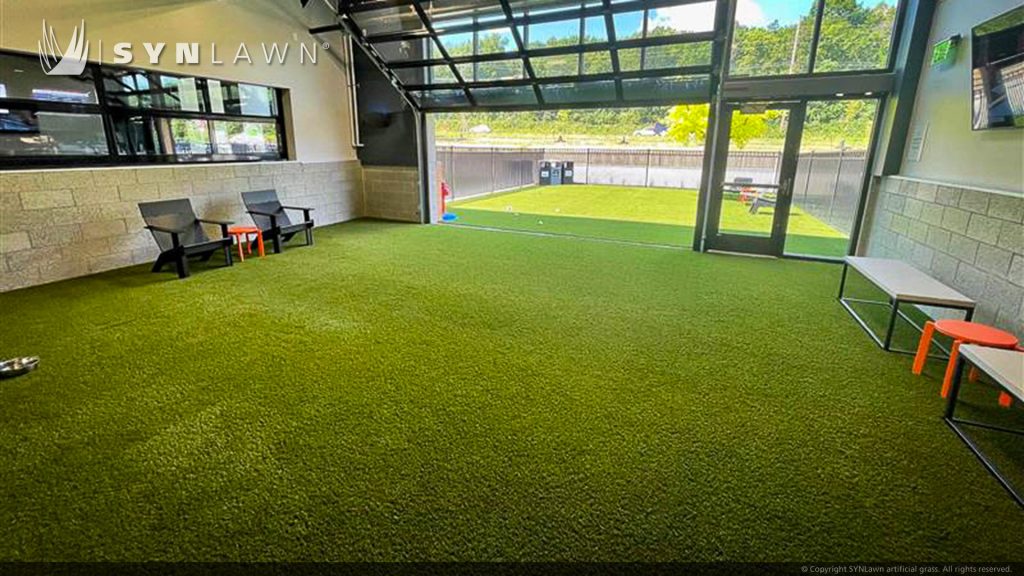 image of SYNLawn artificial pet premium synthetic grass at paws and pints bar social center and dog park in Des Moines Iowa