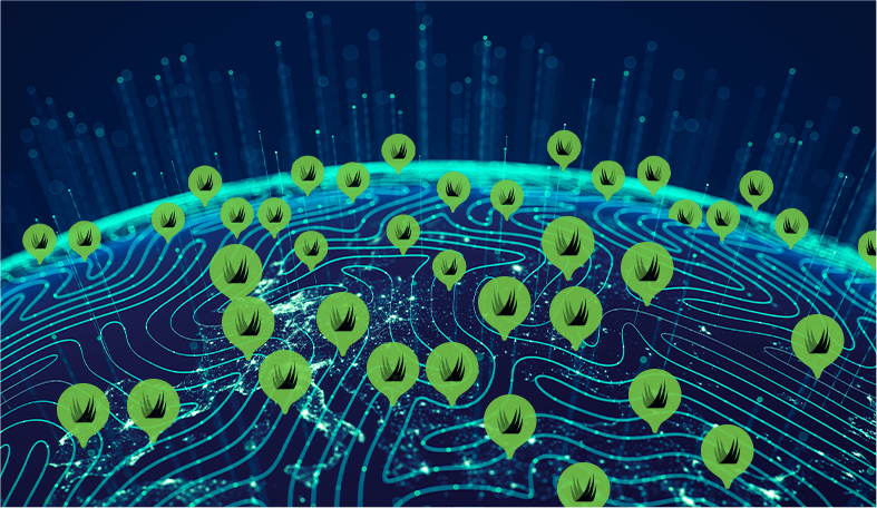 synlawn global graphic