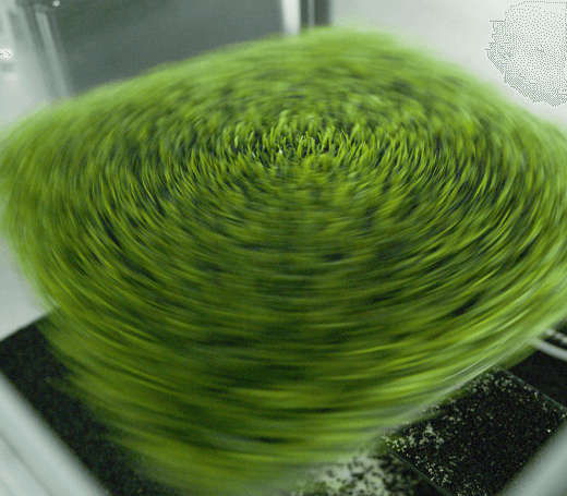 image of SYNLawn artificial turf quality being tested
