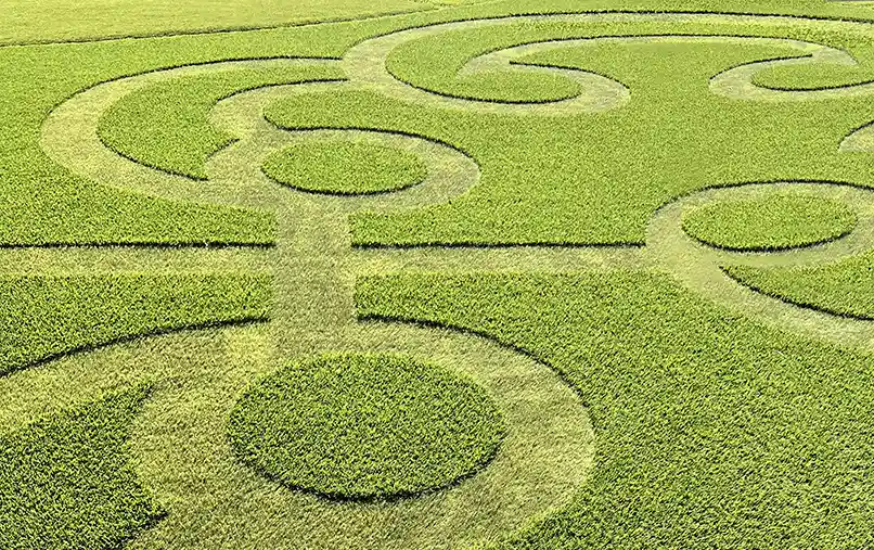 image of SYNLawn artificial turf with a pattern in the grass