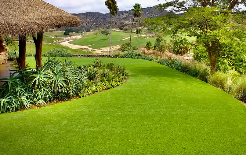 SYNLawn artificial grass at San Diego Zoo Safari Park