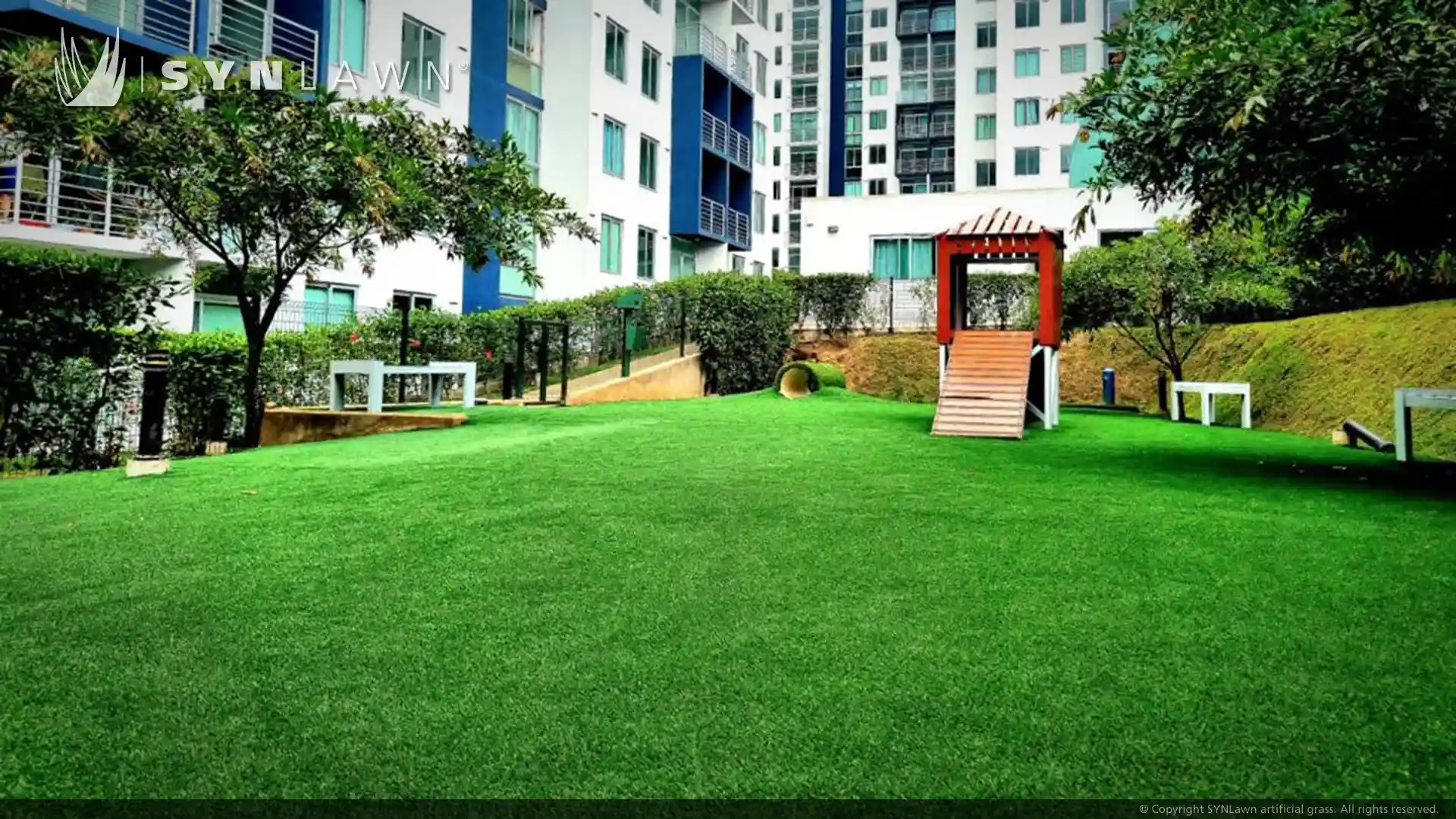Bambú Eco Urbano Condominium Builds Urban Oasis for Four-Legged Residents