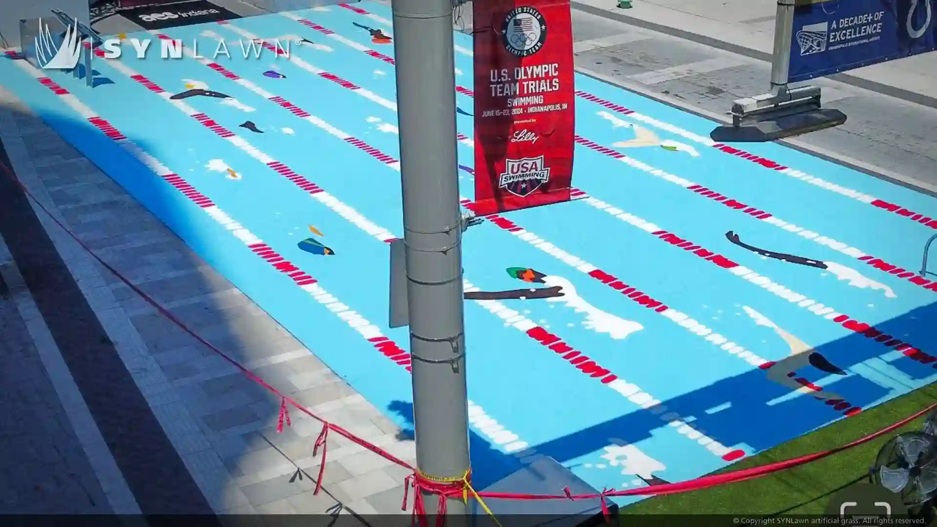 image of pre assembled custom design turf in multiple colors at the Olympic swimming trials Indianapolis Indiana