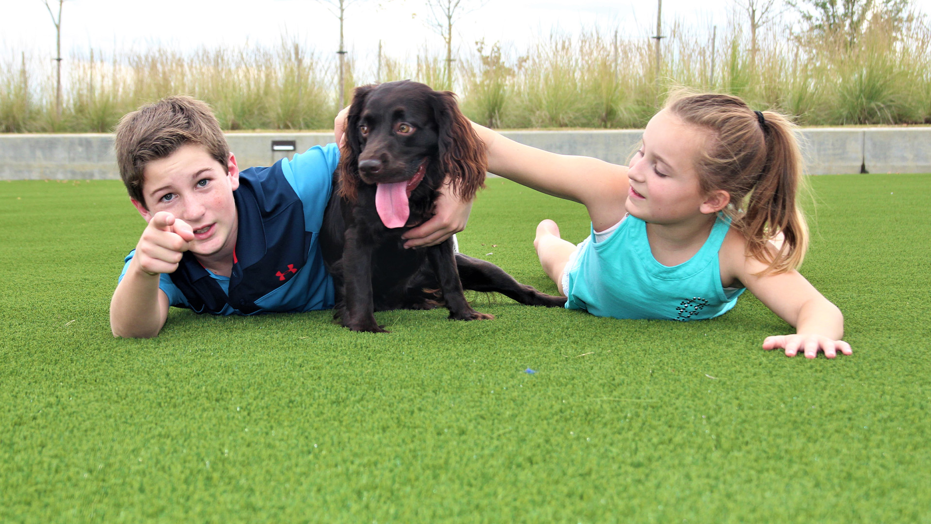Is Artificial Grass Environmentally Friendly?