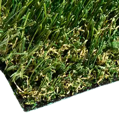 SYNFescue 343