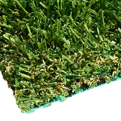 SYNFescue 60