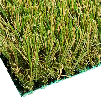 SYNRye 246