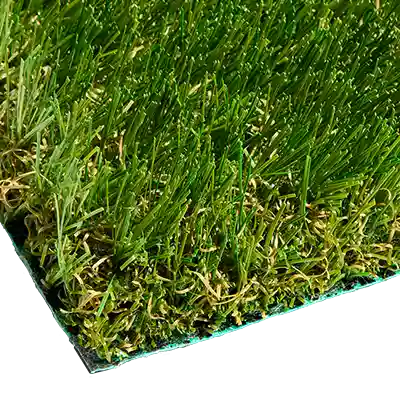 SYNRye 247