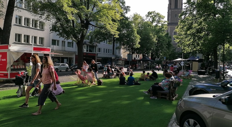 Best High-Traffic Lawn Alternatives